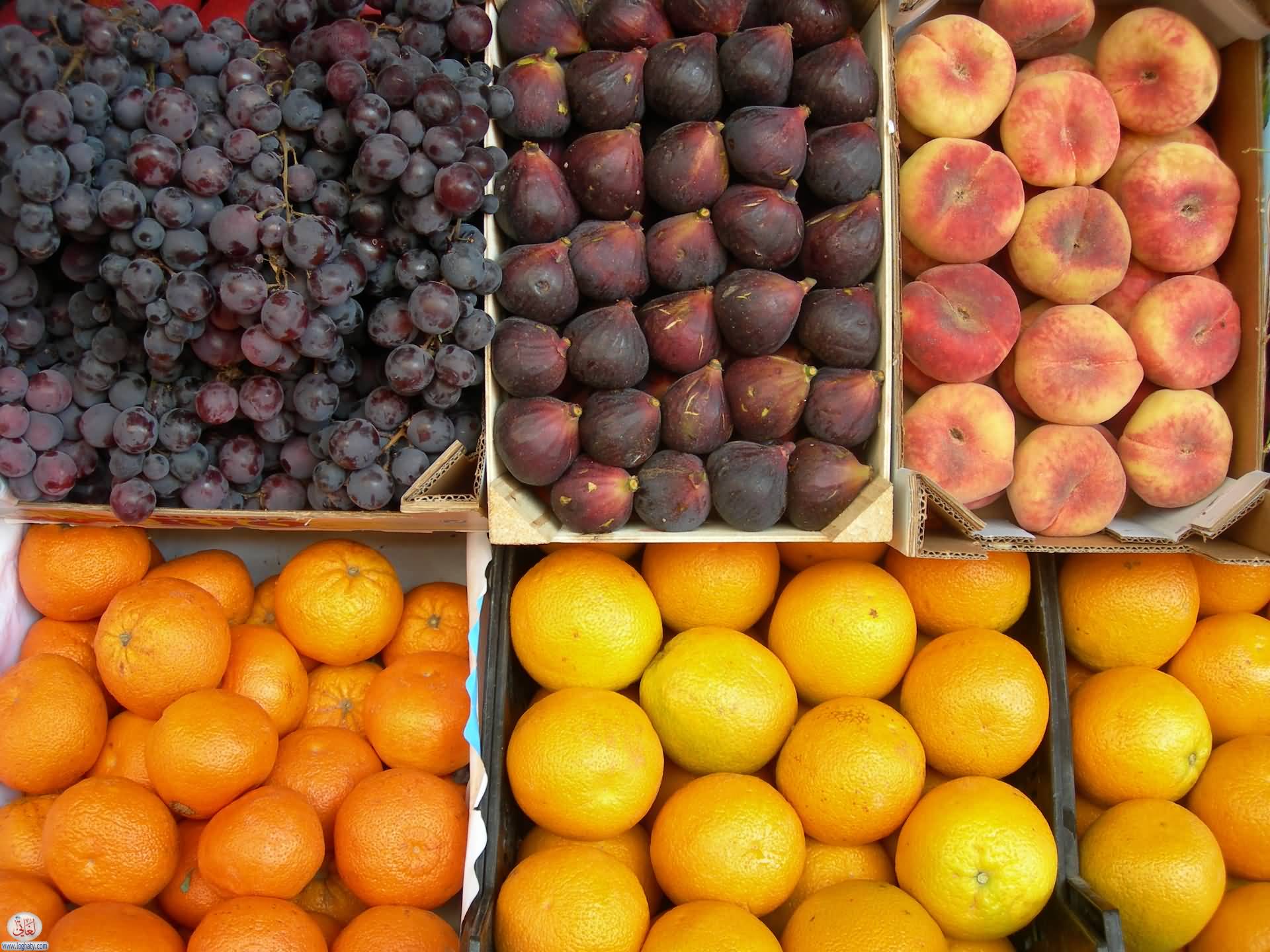 Fruit in Seville, Spain